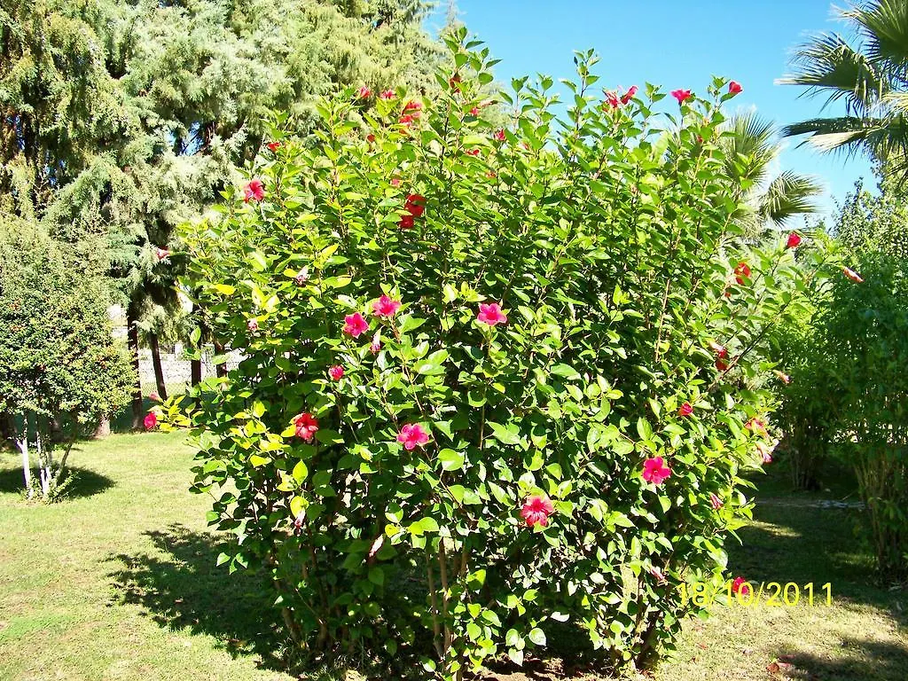 Club Turkuaz Garden Hotel Adult Only Fethiye Turkey